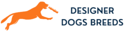 designerdogsbreeds.com